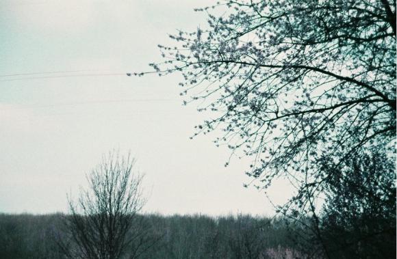 Click to enlarge